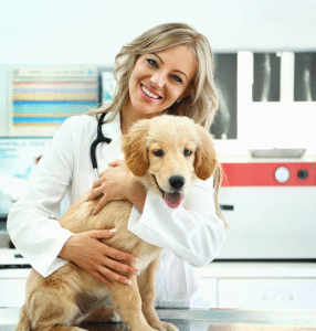Pet with best insurance plan